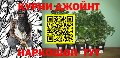 тгк Гатчина