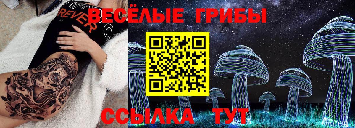 Назарово  как найти закладки  Вход с VPN  Псилоцибиновые грибы Psilocybine cubensis 
